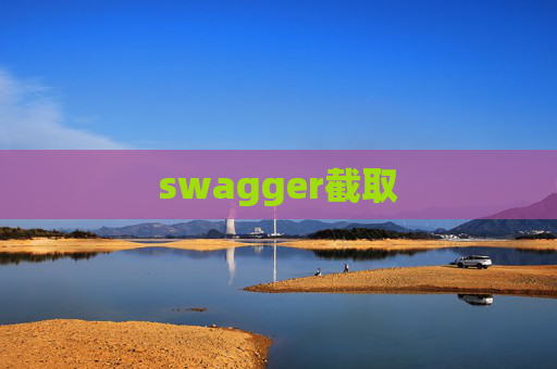 swagger截取